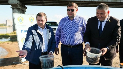 Власти Улан-Удэ выпустили в Селенгу 667 мальков байкальского осетра