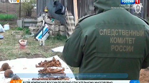 В Ленобласти нашли массовое захоронение времен Великой Отечественной войны