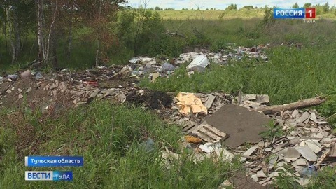 Плавская администрация заплатит 200 тысяч рублей за несанкционированную свалку