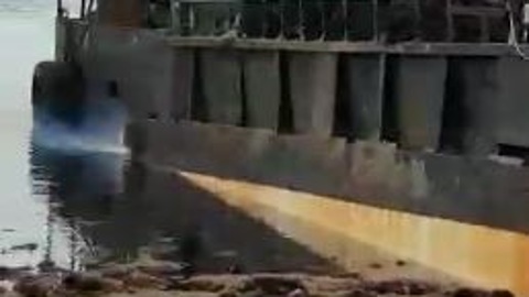 По пояс в "удобрениях": популярный пляж заваливают непонятными водорослями