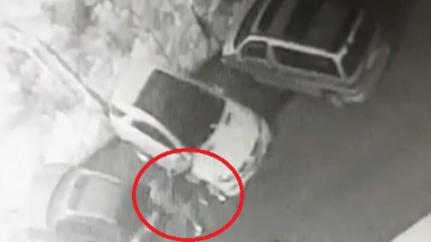 Поджигатели элитных авто во Владивостоке попали на видео