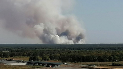 Возле воронежского села загорелось 10 гектаров леса