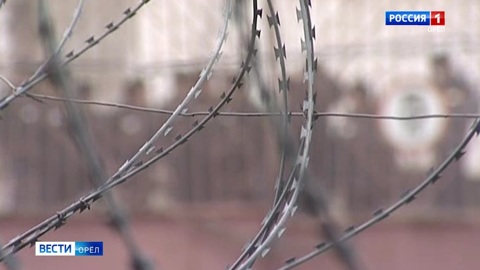В Орловской области грабитель, ударивший полицейского, получил 10 лет тюрьмы