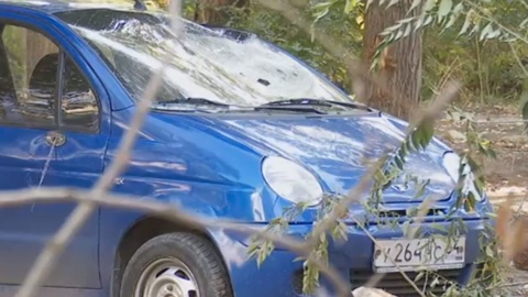 В Саратове упавшее дерево повредило несколько машин