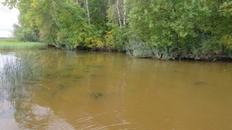 На Костромском море обнаружено тело одного из пропавших охотников