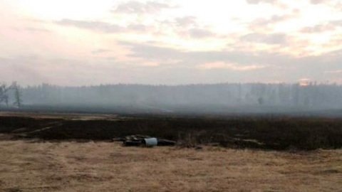 В Бурятии виновник лесного пожара получил условный срок