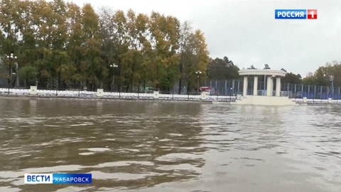 На Амуре возобновятся пассажирские перевозки