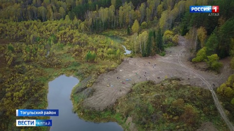 Более 2,5 тысяч молодых кедров высадили в нацпарке "Салаир" в Тогульском районе