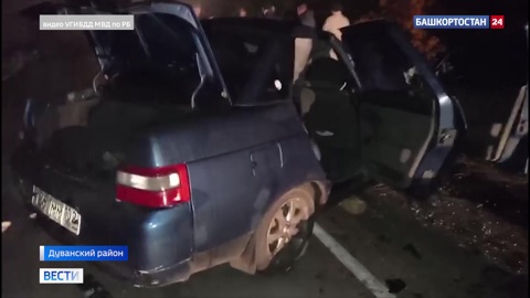 Появились подробности ДТП в Башкирии, где погиб подросток, лошадь и двое жеребят