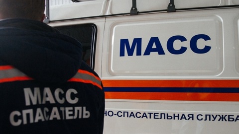 В Новосибирске нетрезвые любители селфи упали с дамбы