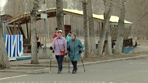 В Красноярске отметили потенциально опасные деревья