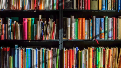 В Саратове открылась международная книжная ярмарка