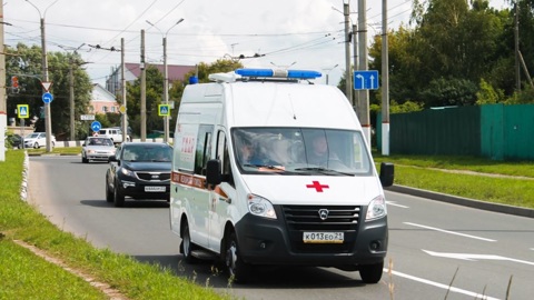 Мужчина ранил в грудь школьника, стреляя по бродячим собакам