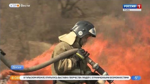 Тульская область направила дополнительные силы тушить пожары в Воронежской области