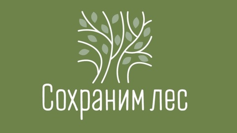 "Сохраним лес": в Марий Эл высадили 5 000 саженцев