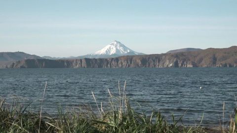 Камчатской воде присвоили V класс опасности