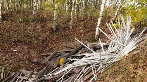 Под Костромой ликвидировали свалку ртутных ламп