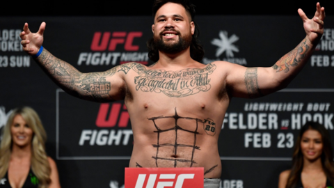 Боец UFC приговорен к 22 месяцам тюремного заключения