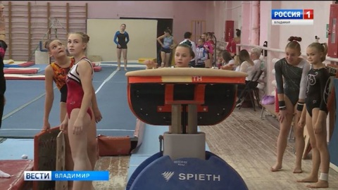 Во Владимире стартовали всероссийские соревнования по спортивной гимнастике