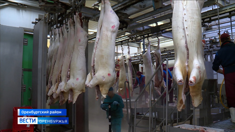 Оренбургская область экспортирует мясо во Вьетнам