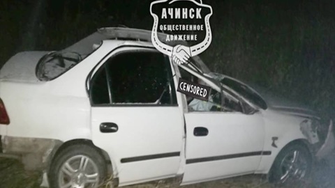 Под Ачинском легковушка врезалась в лося, погибли два человека