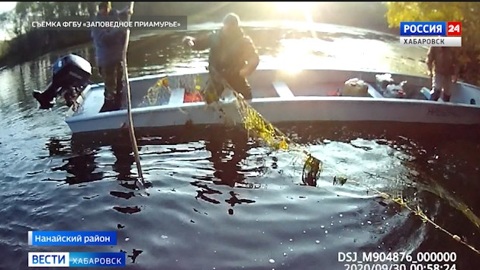 В Анюйском нацпарке задержали браконьеров, добывающих лосось на нересте
