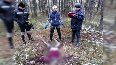 Эксперты установили личность мужчины, чьи останки были найдены в Ноябрьске