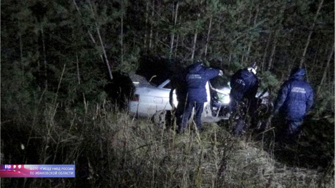 В Ивановской области автомобиль столкнулся с лошадью: есть погибшие