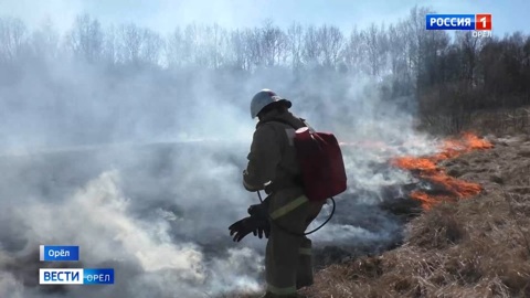 Пикники и горящие окурки стоили орловцам больше 70 тысяч рублей
