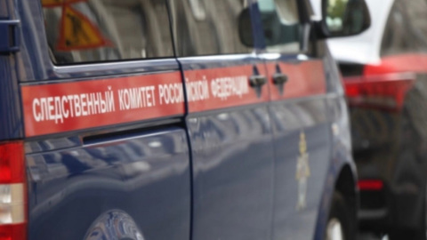 В Тольятти эксперты высняют причину смерти найденных в квартире двух пожилых сестер