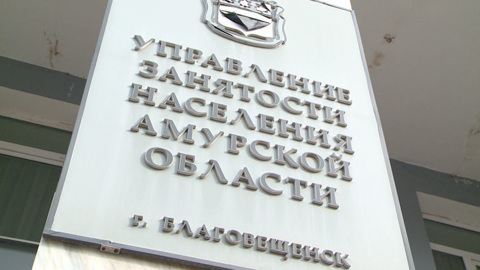 Часть амурских ведомств прекратили прием граждан