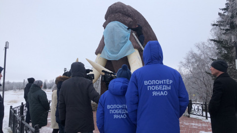 На Салехардского мамонта надели защитную маску