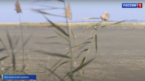 Донская река Маныч катастрофически обмелела, обитателям грозит гибель