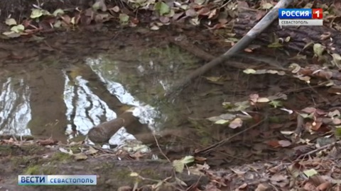 Воды в Севастополе осталось максимум на 3 месяца