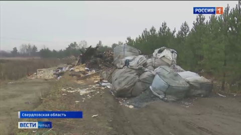 Близ аэропорта Кольцово появилась несанкционированная свалка