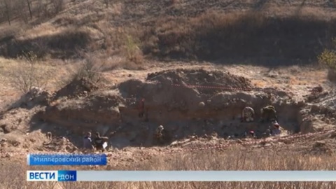 На Дону нашли братскую могилу с сотнями останков