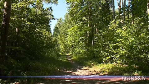 В Пензенской области завершился пожароопасный сезон