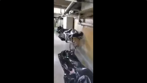 Шокирующее видео из подвала барнаульской больницы прокомментировал Минздрав