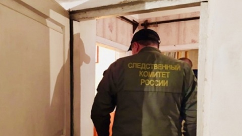 Липчанка убила сожителя из-за его нежелания искать работу
