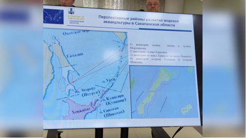 На Сахалине чиновника уволили из-за неправильного цвета островов на карте