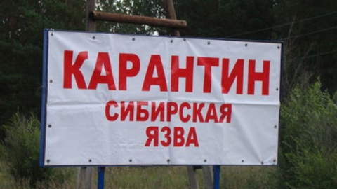 Роспотребнадзор не видит оснований для распространения сибирской язвы в РФ