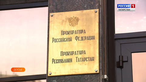 В Челнах вынесен приговор хозяйке собаки, покусавшей школьницу