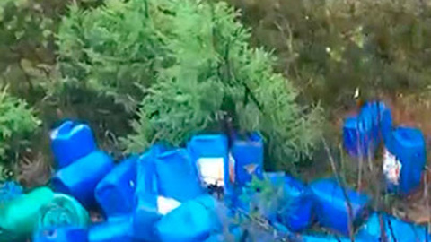 Незаконную свалку опасных веществ обнаружили в Выборгском районе