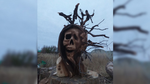Скульптуру коронавируса "казнят" в месте силы Воронежа