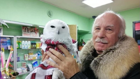 На Ямале спасли полярного совенка