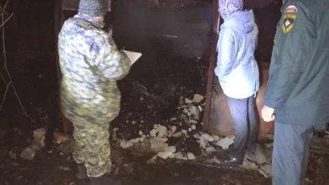 В Саратовской области пожарные нашли останки человека