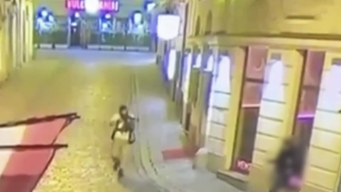 Завершен анализ видео венского теракта, обнародованы выводы