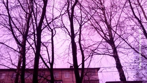 В Архангельской области наблюдали необычный розовый рассвет