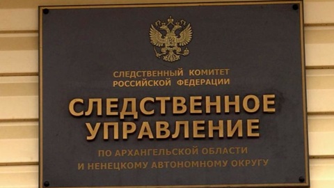 Жительница Архангельска предстанет перед судом по обвинению в истязании падчерицы