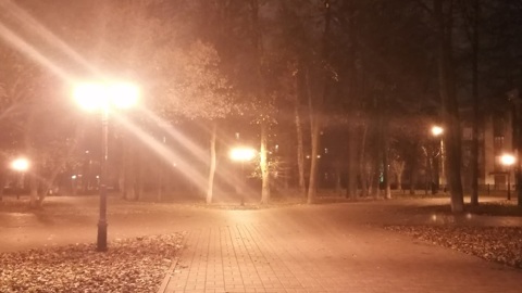 В парке Ярославля нашли тело мужчины